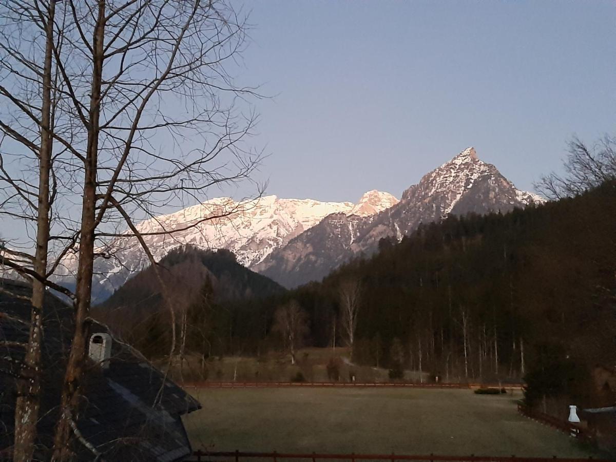 Haasenhaus Villa Hinterstoder Exteriör bild