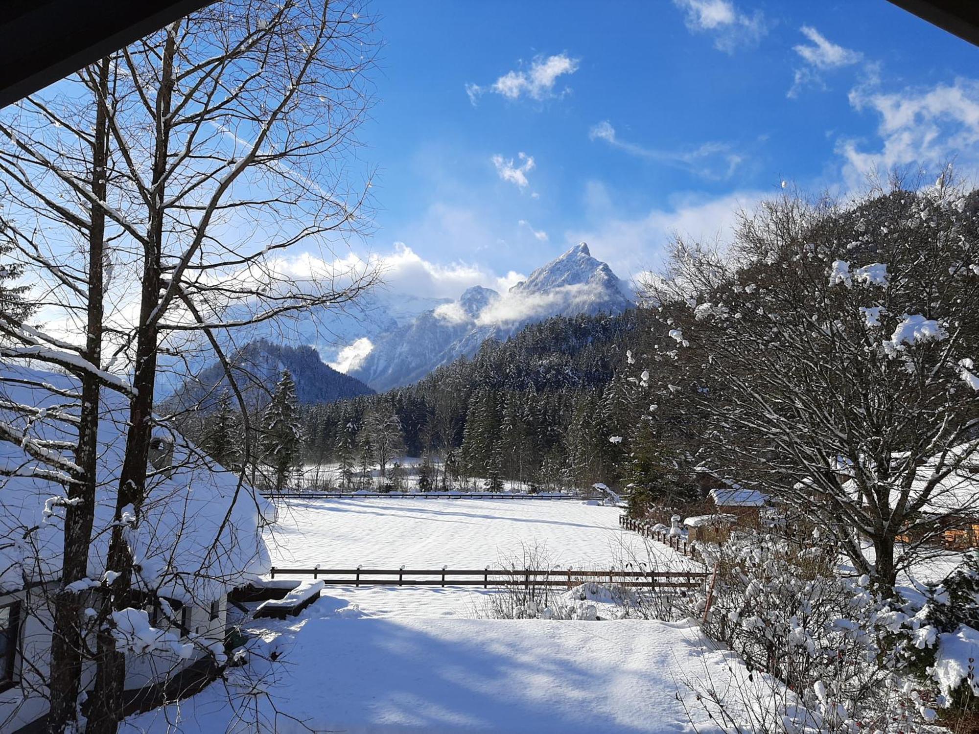 Haasenhaus Villa Hinterstoder Exteriör bild
